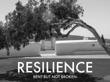 c46f09de-ffa0-4f33-888a-76a884d83c24